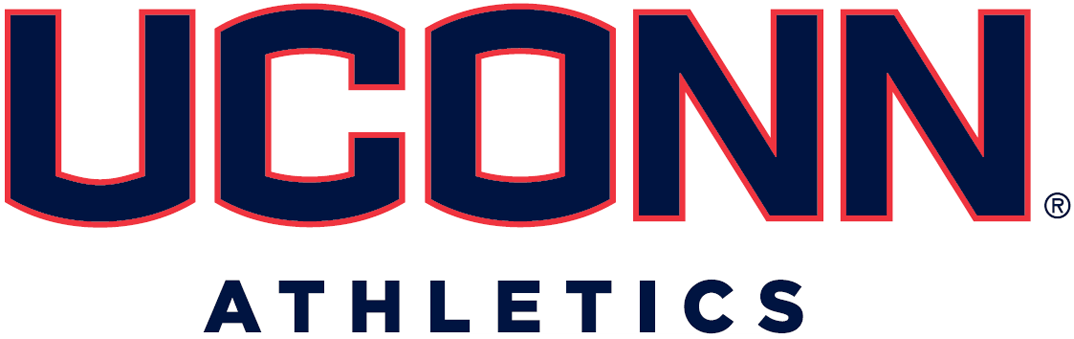 UConn Huskies 2013-Pres Wordmark Logo 01 iron on paper